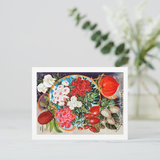 Saatgutpackungen. Postkarte (Stehend Vorderseite)