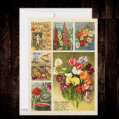 Saatgutpaketkatalog Vintage Blume Mitteilungskarte