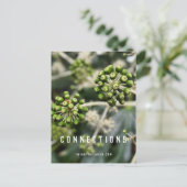 Saatgutpfeife - Postkarte zum Manifest von Verbind (Stehend Vorderseite)