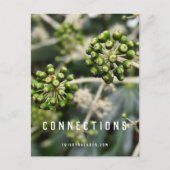 Saatgutpfeife - Postkarte zum Manifest von Verbind (Vorderseite)