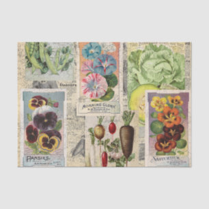 Saatgutverpackung Seidenpapier