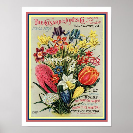 Saatkatalog 1897 Blume, 12 x 16 Poster (Vorne)