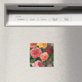 Saatkatalog 1 Rose Magnet (In Situ (Geschirrspüler))