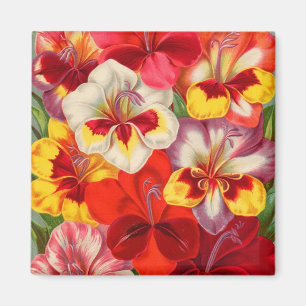 Saatkatalog 2 Magnete Magnet