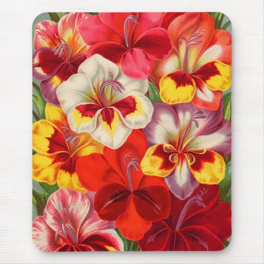 Saatkatalog 2 Mousepad (Vorne)