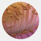 Saatkleber Runder Aufkleber (Vorderseite)