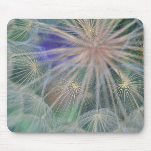 Saatkopf-Design| Gennesse, Idaho Mousepad (Vorne)