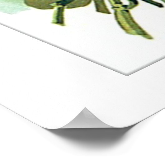 Saatpackung für Vintage Blume Poster (Ecke)