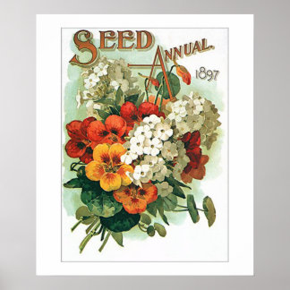 Saatpackung für Vintage Blume Poster