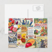 Saatpackungen Postkarte (Vorne/Hinten)