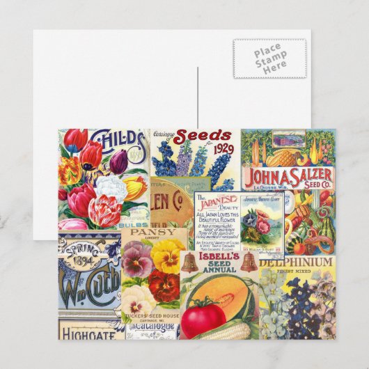 Saatpackungen Postkarte (Vorne/Hinten)