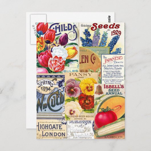 Saatpackungen Postkarte (Vorne/Hinten)