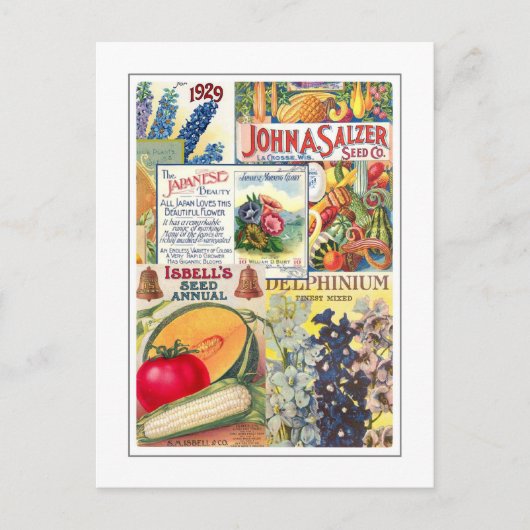 Saatpackungen Postkarte (Vorderseite)