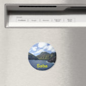 Saba-Magnet Magnet (In Situ (Geschirrspüler))