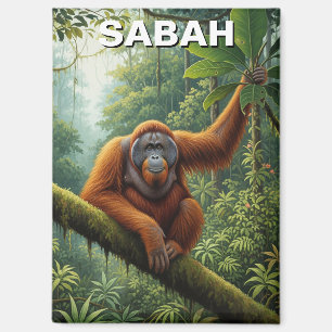 Sabah Malaysia Orang-Utan Reise Magnet