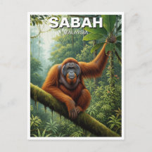 Sabah Malaysia Orang-Utan Reise