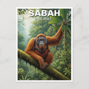 Sabah Malaysia Orang-Utan Reise Postkarte