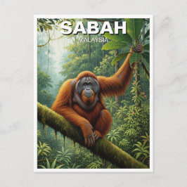 Sabah Malaysia Orangutan Travel Postkarte
