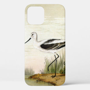 Säbelschnäbler, Vögel des marinen Lebens an der Kü Case-Mate iPhone Hülle