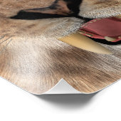 Säbeltoothed Ttiger oder Smilodon Fotodruck (Ecke)