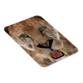 Säbeltoothed Ttiger oder Smilodon Magnet (Rechte Seite)
