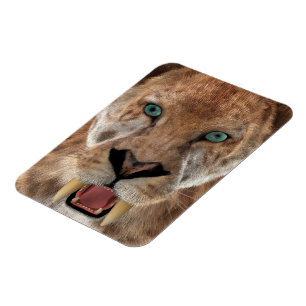 Säbeltoothed Ttiger oder Smilodon Magnet