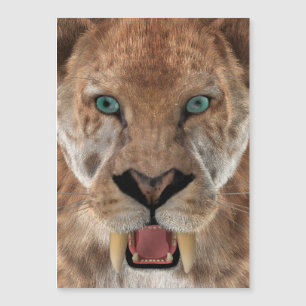 Säbeltoothed Ttiger oder Smilodon Magnetkarte