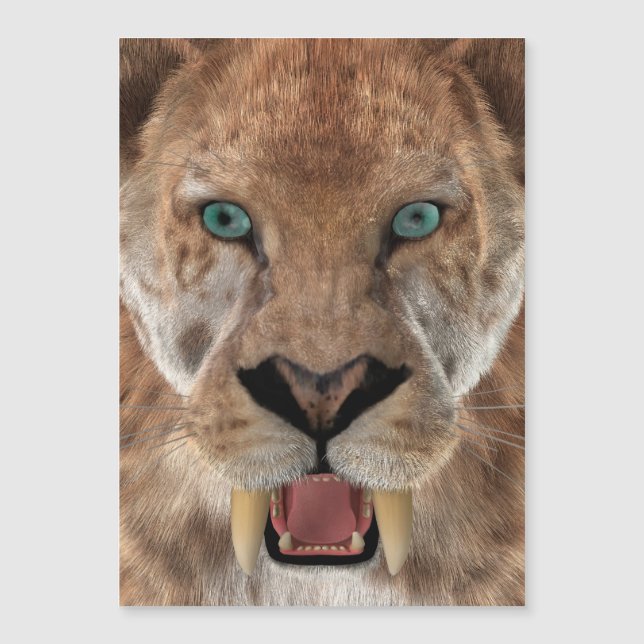 Säbelzahn-Tiger oder Smilodon Magnetkarte (Vorderseite)