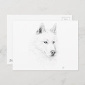 Saber A Siberian Husky Zeichne Art Blue Eyes Postkarte (Vorne/Hinten)