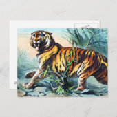 Saber Toothed Tiger Postkarte (Vorne/Hinten)