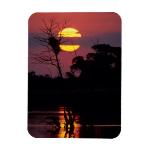 Sabi Fluss bei Sonnenuntergang, Kruger-Nationalpar Magnet