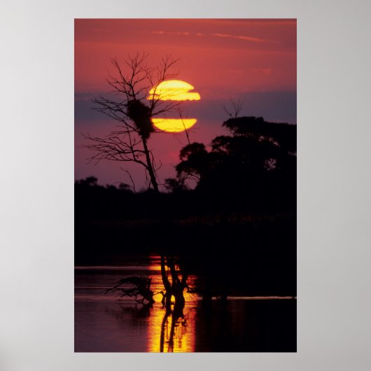 Sabi River at Sunset, Kruger National Park Poster (Vorne)