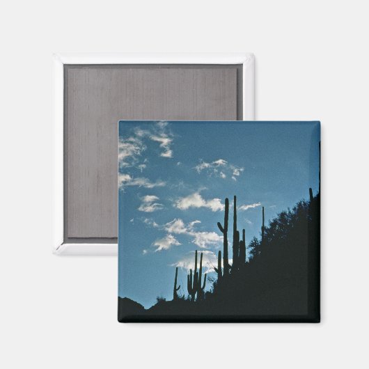 Sabino Canyon, Arizona Magnet (Vorderseite/Rückseite)