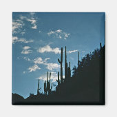 Sabino Canyon, Arizona Magnet (Vorne)