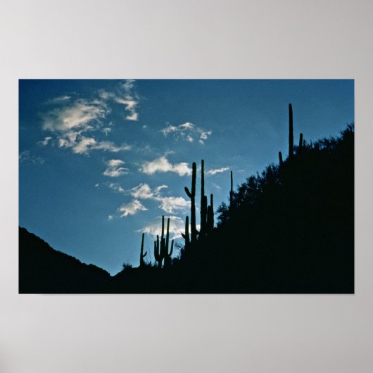 Sabino Canyon, Arizona Poster (Vorne)