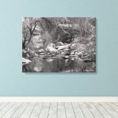 Sabino Canyon Creek Winter Two Panel Leinwand (Insitu (Holzboden))