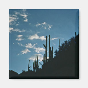 Sabino Schlucht, Arizona Magnet