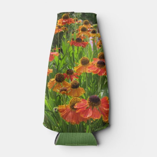 Sabins frühe Blume Helenium Inula Flaschenkühler (Vorderseite)