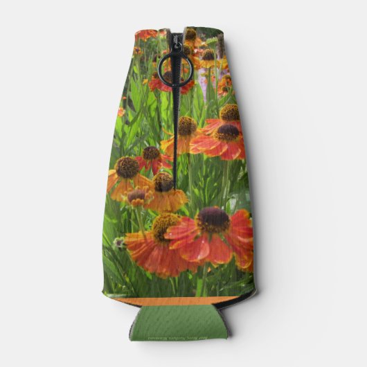 Sabins frühe Blume Helenium Inula Flaschenkühler (Rückseite)