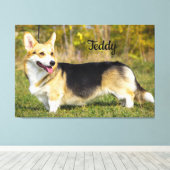 Sable Cardigan Welsh Corgi Dog Leinwanddruck (Insitu (Holzboden))