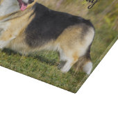 Sable Cardigan Welsh Corgi Dog Schneidebrett (Ecke)