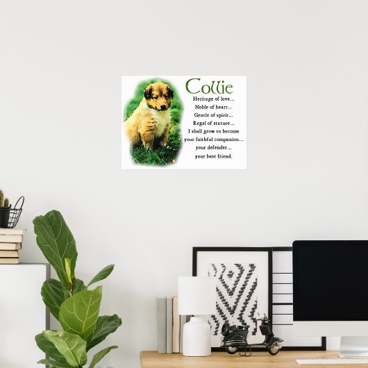 Sable Collie Geschenke Poster (Heimbüro)