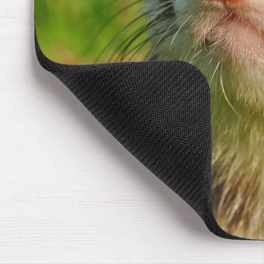 Sable Ferret im Gras Mousepad (Ecke)