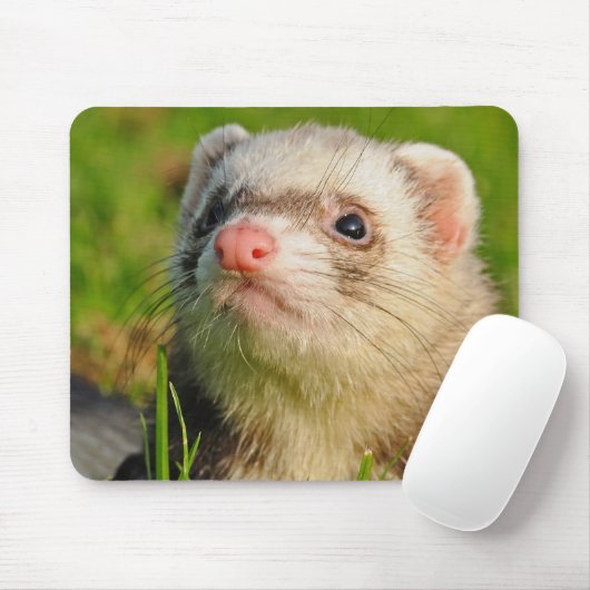 Sable Ferret im Gras Mousepad (Mit Mouse)