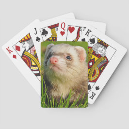 Sable Ferret im Gras Spielkarten