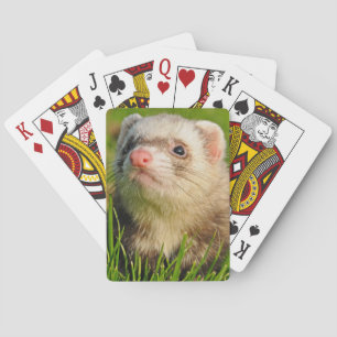 Sable Ferret im Gras Spielkarten