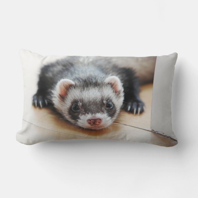 Sable Ferret Lendenkissen (Vorderseite)