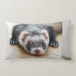 Sable Ferret Lendenkissen