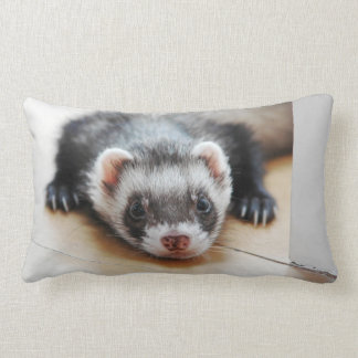 Sable Ferret Lendenkissen