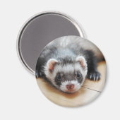 Sable Ferret Magnet (Vorderseite/Rückseite)